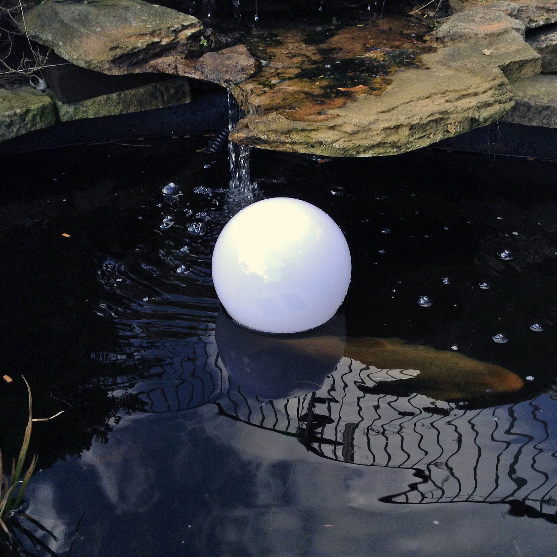 Mooncurl Solar Pond and Pool Light