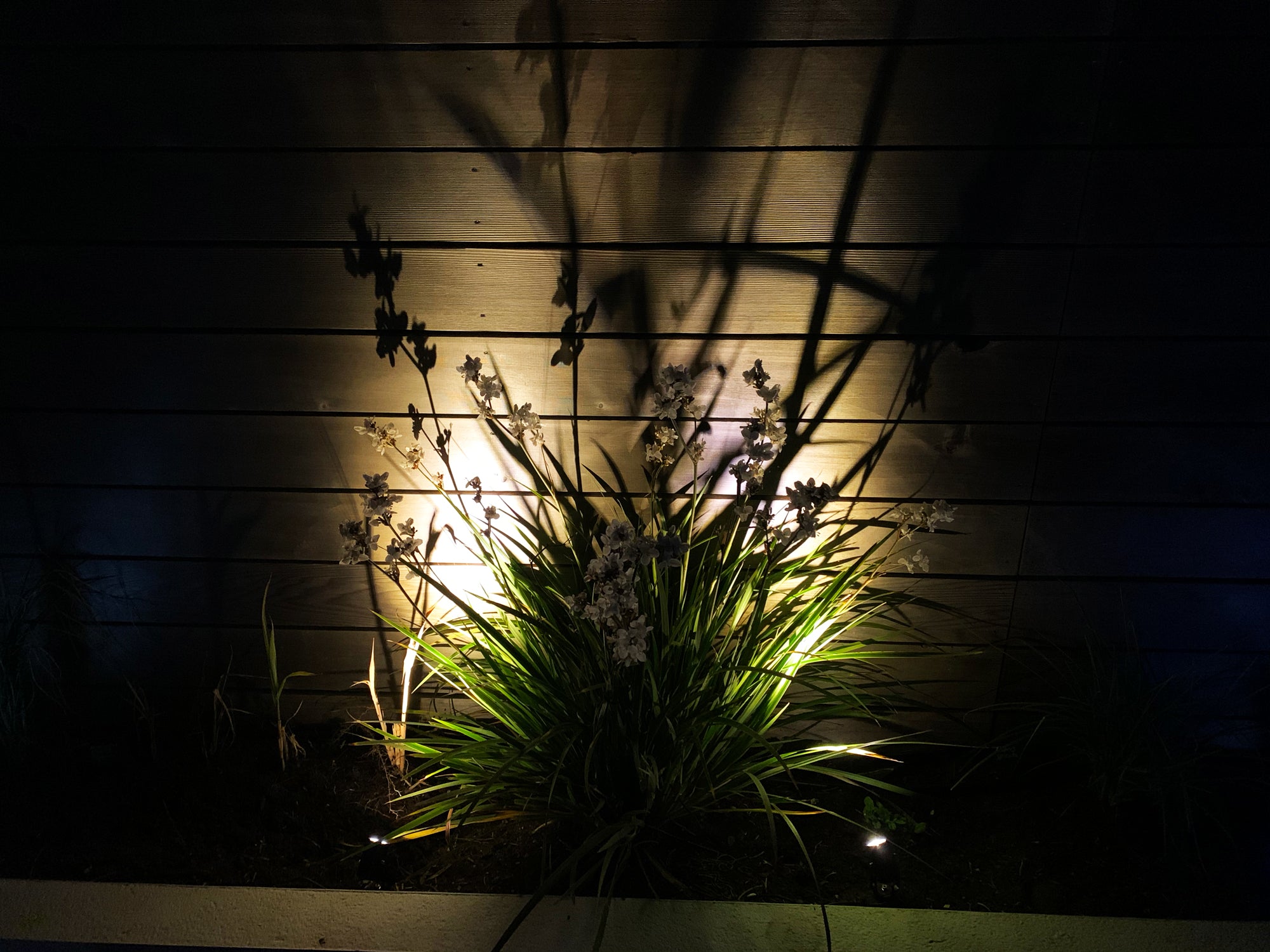 Glowzest Solar Spotlights - Set of 3