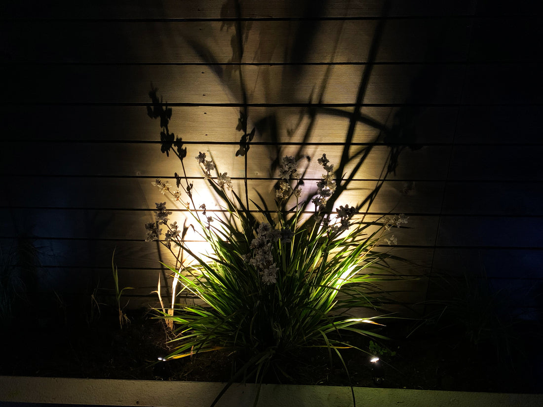 Glowzest Solar Spotlights - Set of 2