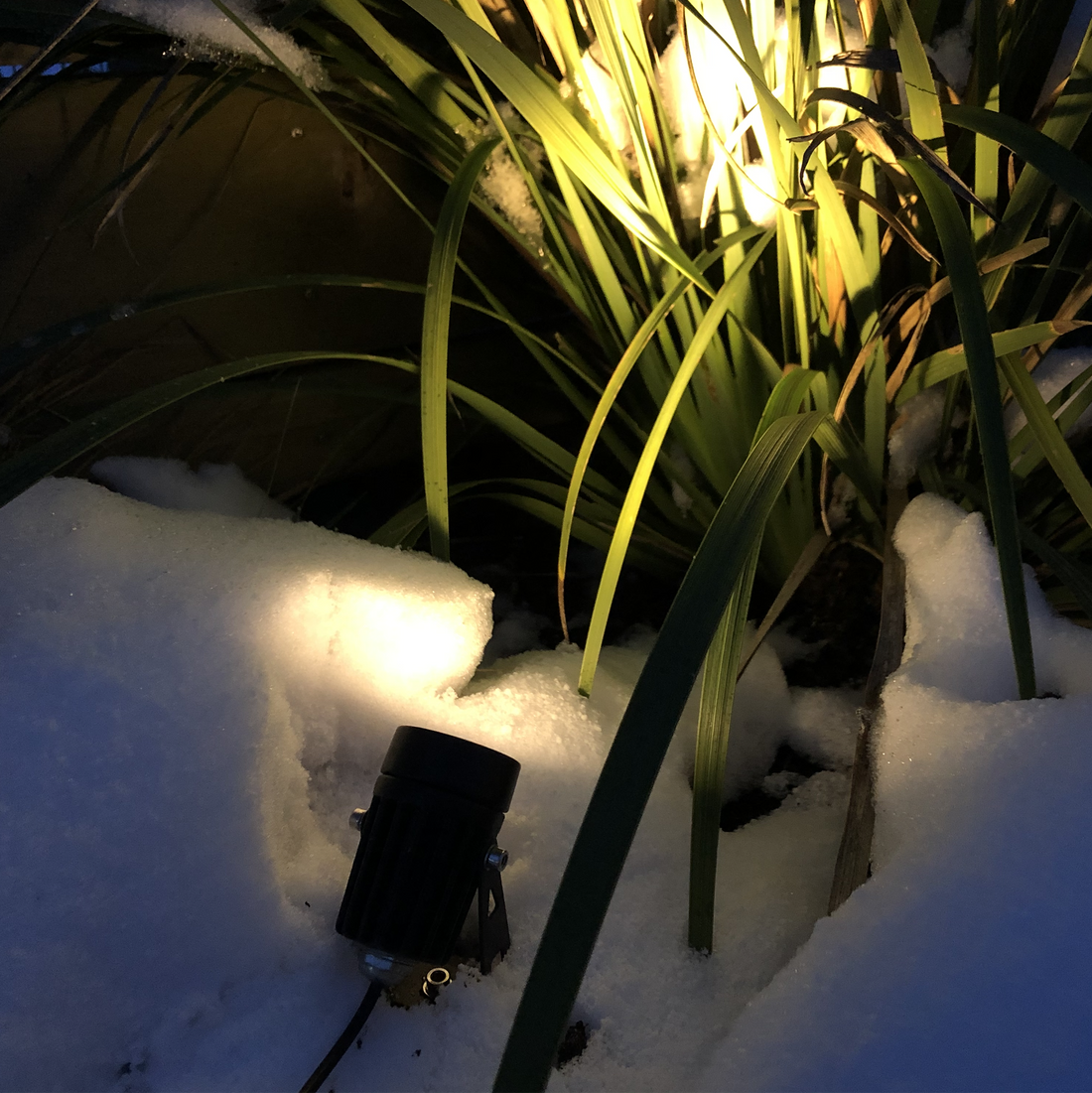 Ground Garden Package